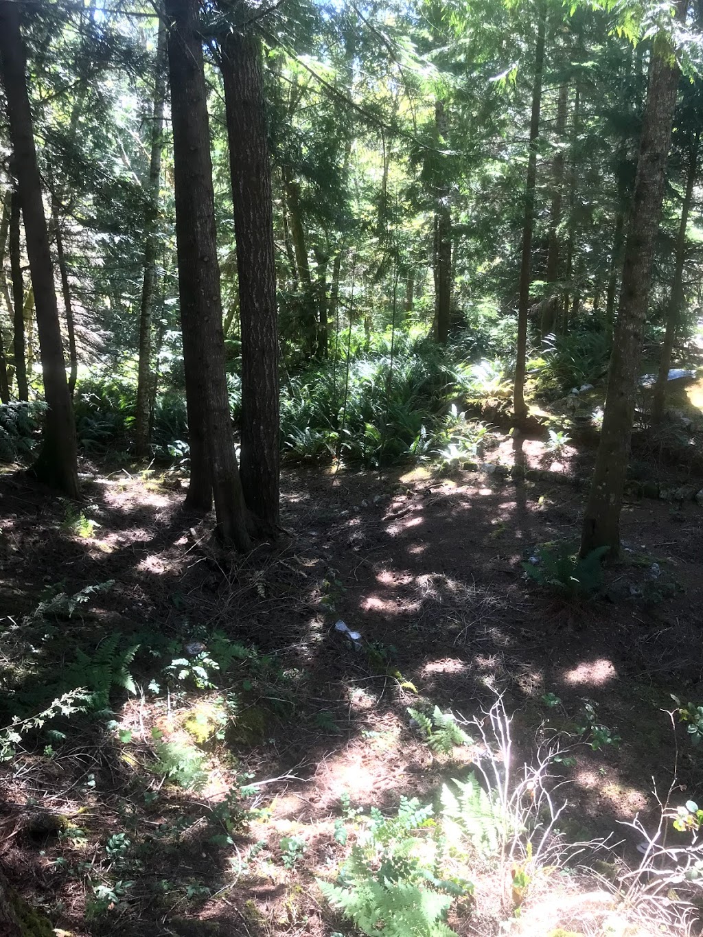 The Cottages at Marble Bay | Nighthawk Rd, Lake Cowichan, BC V0R 2G0, Canada | Phone: (250) 588-2859