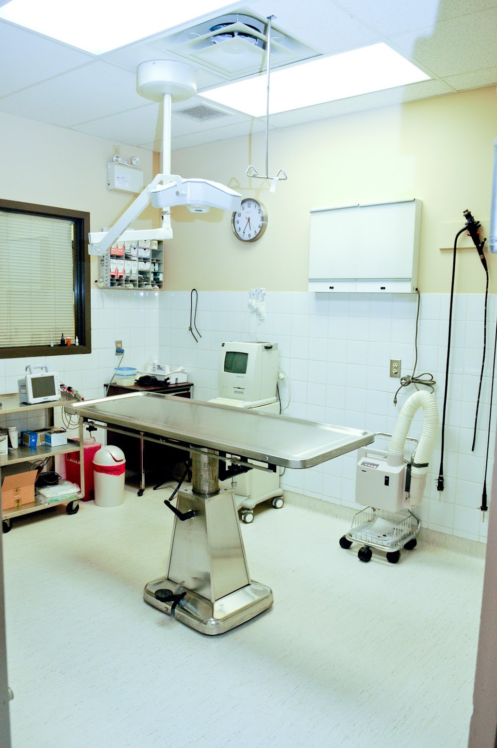 Tuxedo Animal Hospital | 192-2025, Corydon Ave, Winnipeg, MB R3P 0N5, Canada | Phone: (204) 488-1843