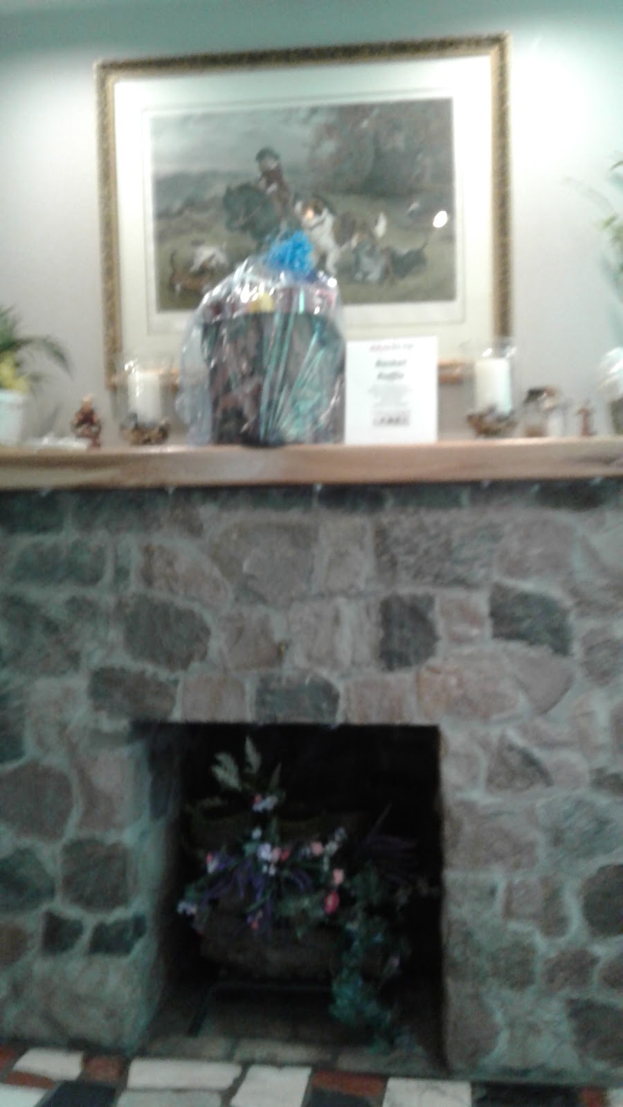 GrandView Animal Care Center | 2409 Union Rd, Cheektowaga, NY 14227, USA | Phone: (716) 608-6383