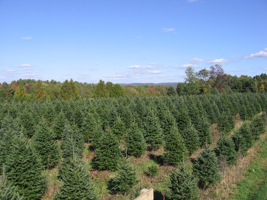 Plantation des Frontières | 295 Chemin des Érables, Saint-Armand, QC J0J 1T0, Canada | Phone: (450) 248-3575