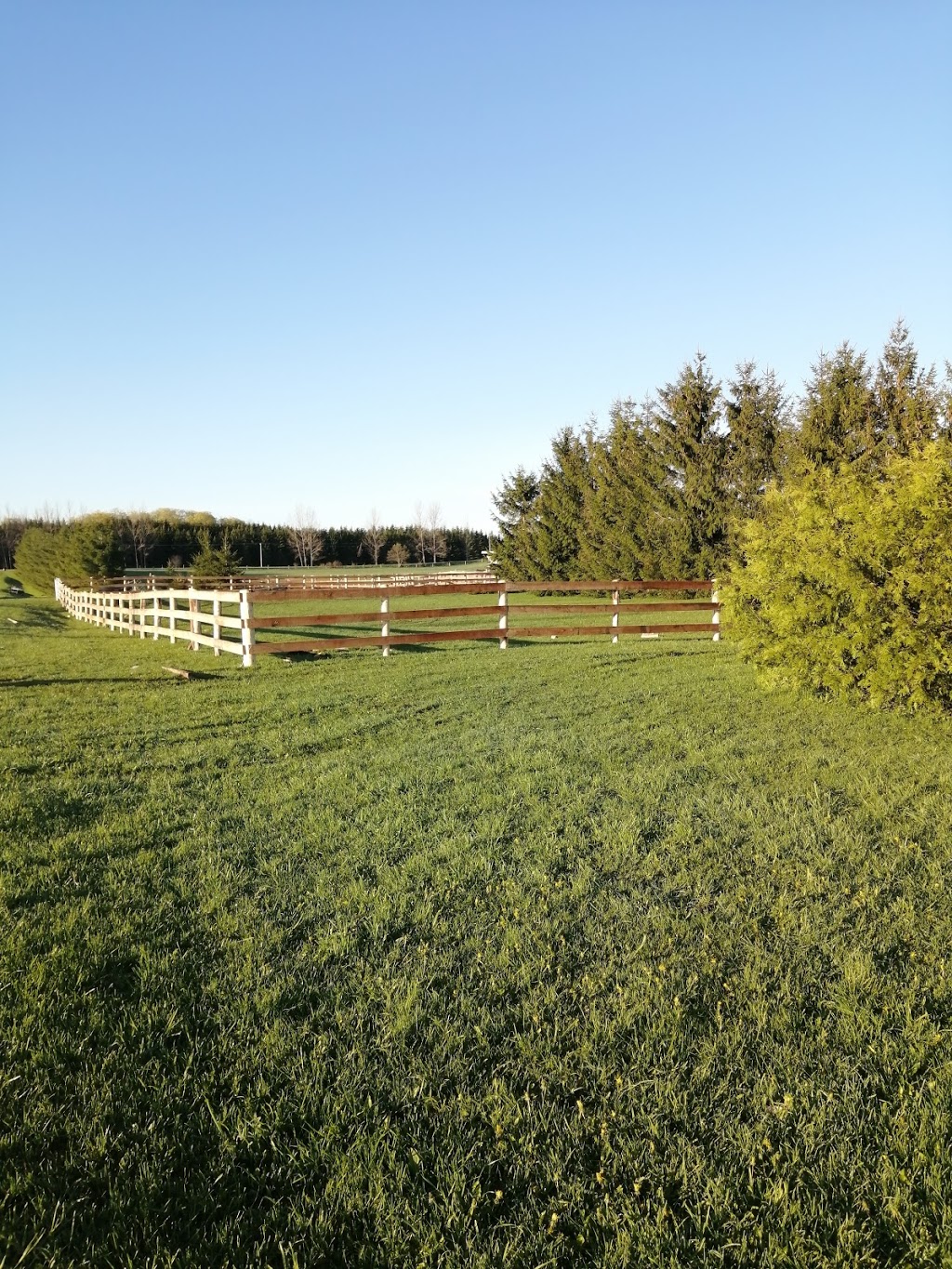 Gloucester Woods Horse Boarding | 845205 Deviation Rd, Meaford, ON N4L 1W5, Canada | Phone: (905) 465-5845