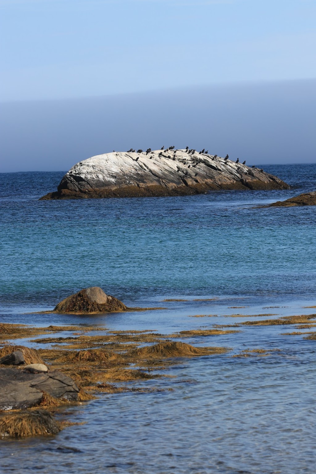 Kejimkujik National Park Seaside | 1188 St Catherines River Rd, Port Joli, NS B0T 1S0, Canada | Phone: (902) 682-2772
