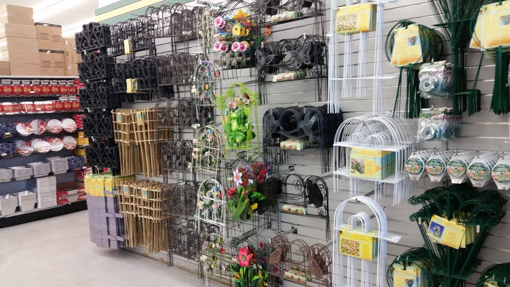 Dollarama | 235 Guelph St, Georgetown, ON L7G 4A8, Canada | Phone: (905) 873-0379