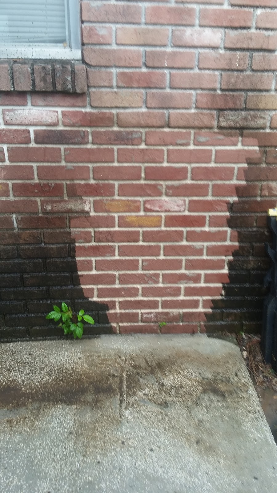 AJ Williams Painting And Power Washing | 6545 Comstock Rd, Jeddo, MI 48032, USA | Phone: (810) 334-5693