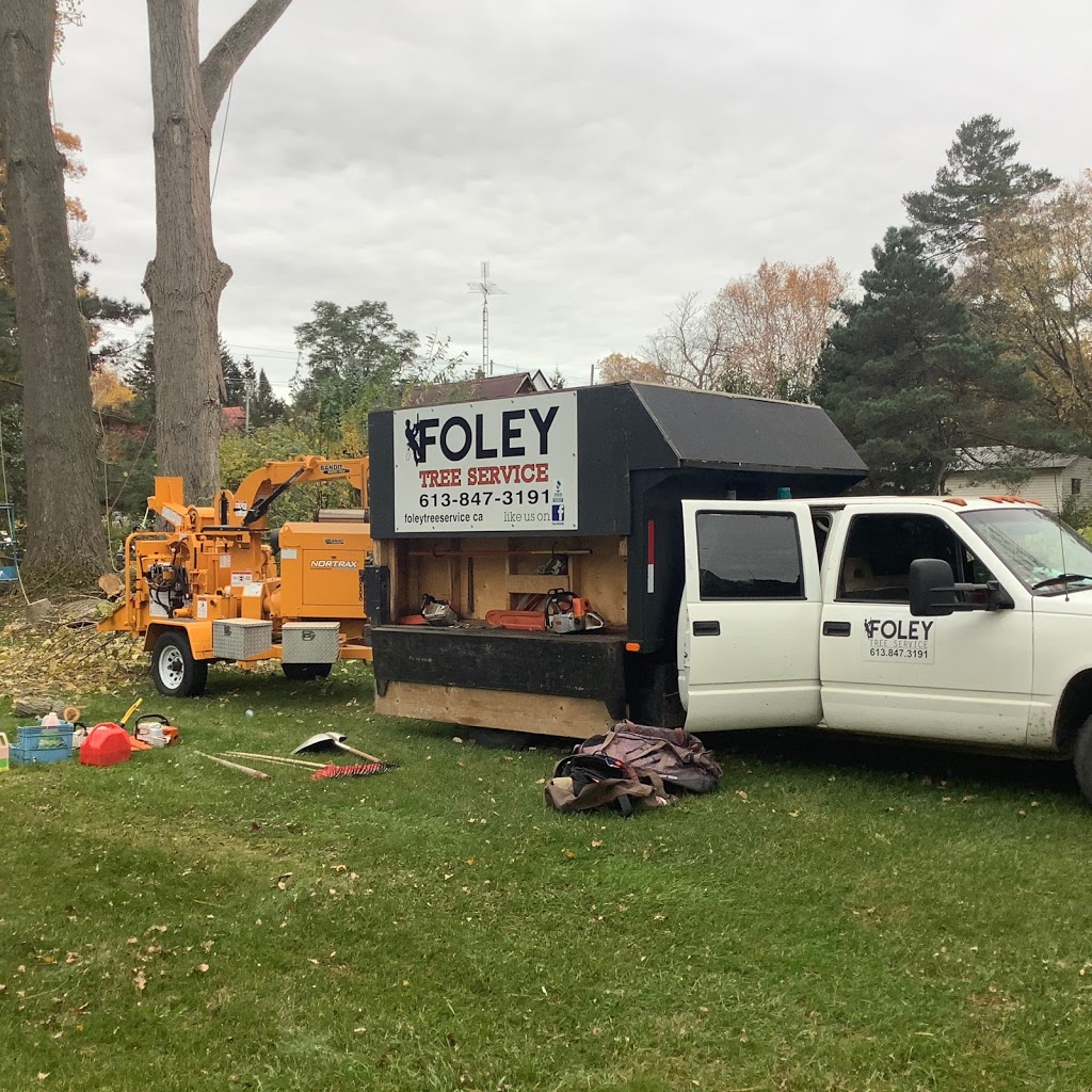 Foley Tree Service | 212 Sagers Corners Rd, Stirling, ON K0K 3E0, Canada | Phone: (613) 902-7464