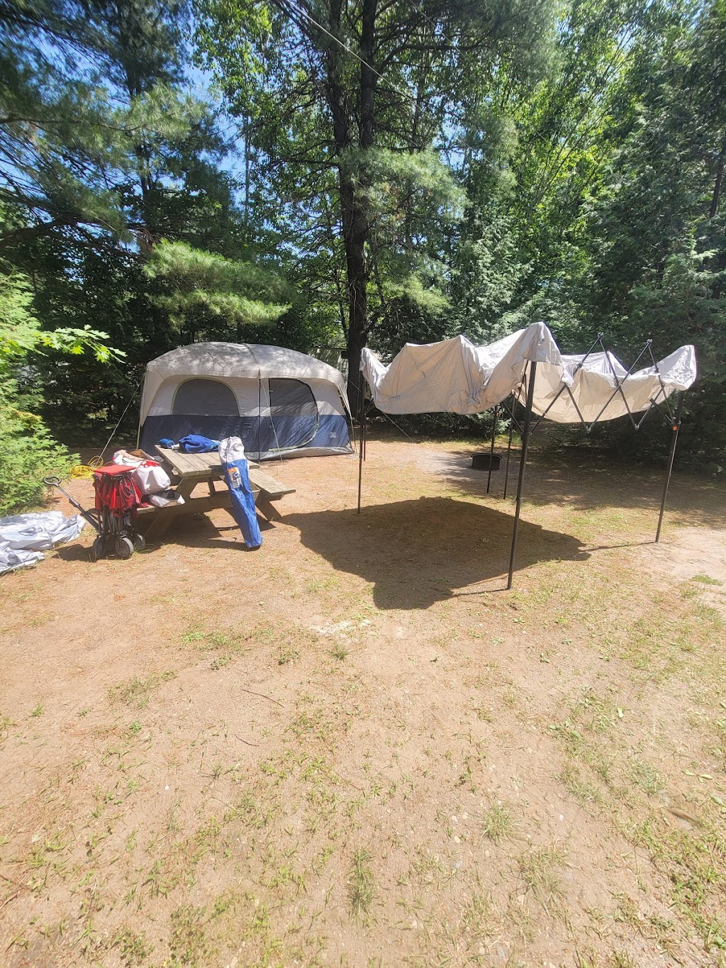 Camping in Muskoka | 1083 Reay Rd E, Gravenhurst, ON P1P 1R3, Canada | Phone: (705) 687-2333