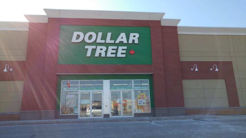 Dollar Tree | 4517 Dundas St, Burlington, ON L7M 5B4, Canada | Phone: (905) 336-3400