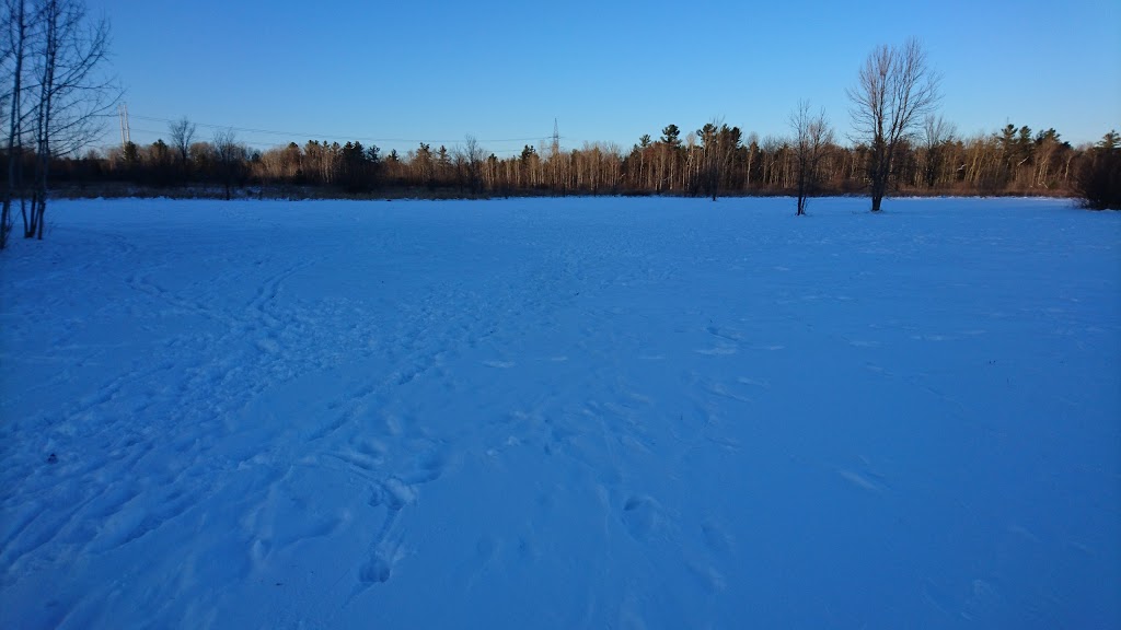 Technologie Dog Park | 200 Boulevard de la Technologie, Gatineau, QC J8Z 3H8, Canada