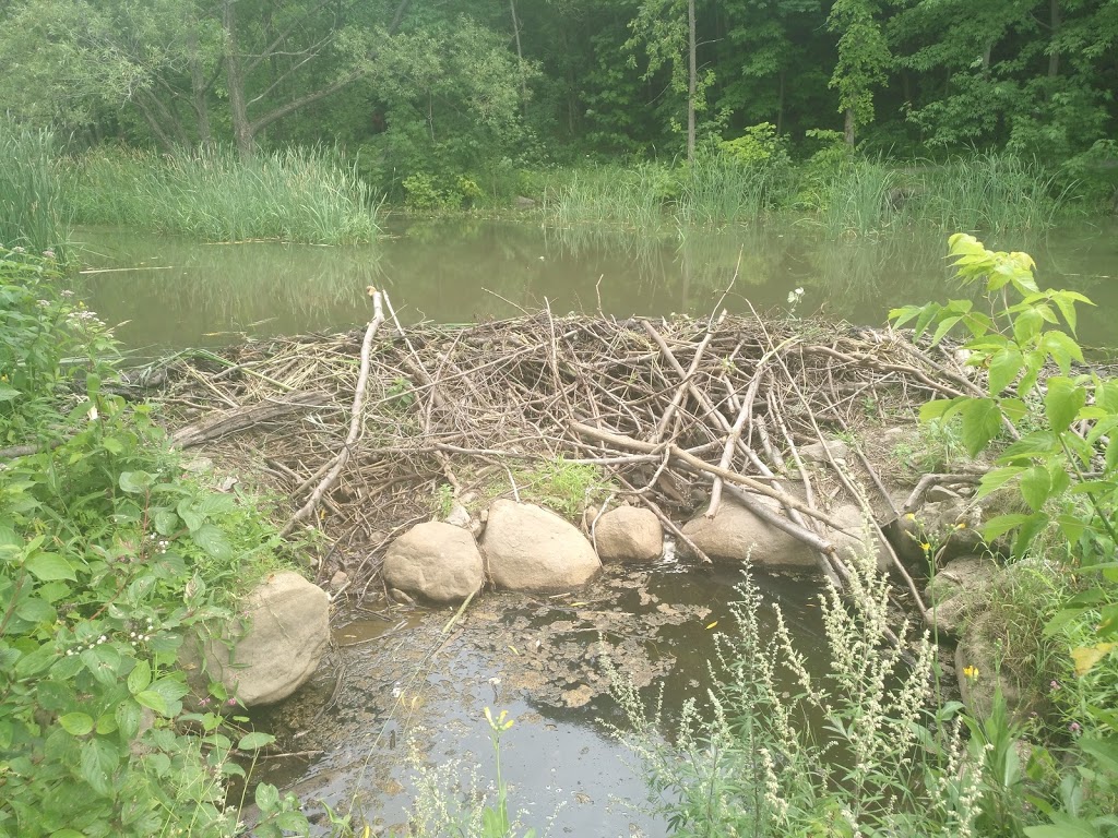 Parc des Berges | 10 QC-138, Donnacona, QC G3M 1B2, Canada