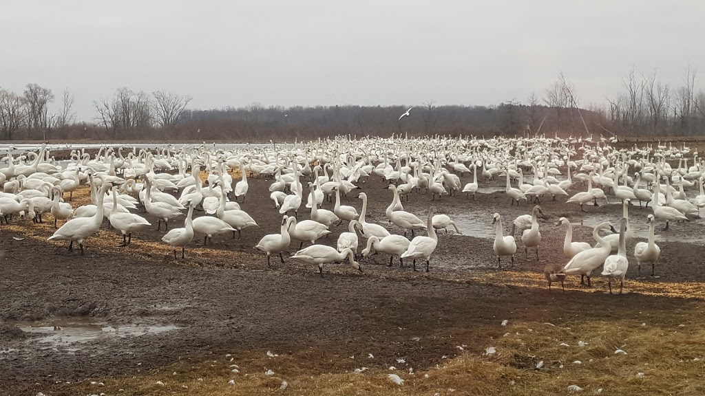 Aylmer Wildlife Management Area | 10594 Hacienda Road, Aylmer, ON N5H 2R3, Canada
