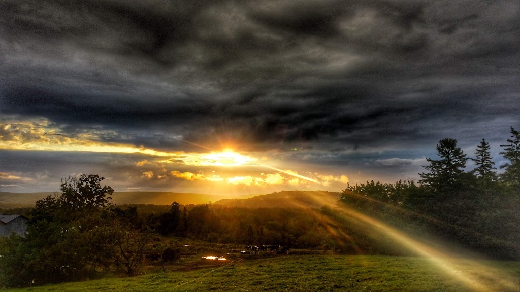 Rankinville Farm | Unnamed Road, Mabou Station, NS B0E 1X0, Canada | Phone: (902) 945-2823