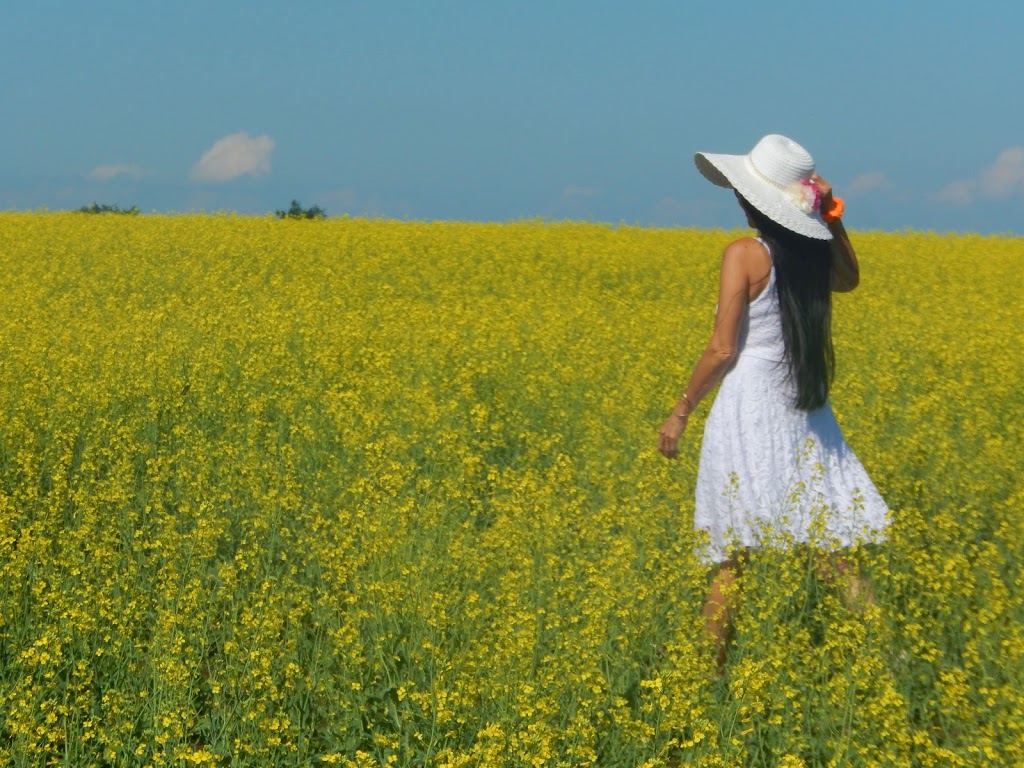 Thousand Winds Farm | 295483 8 Line, Amaranth, ON L9V 1K4, Canada | Phone: (416) 887-4244