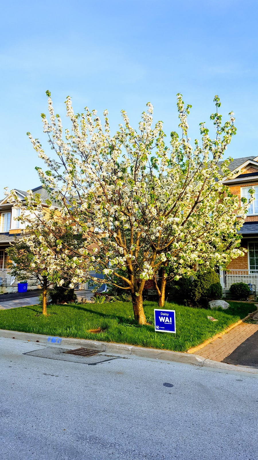 Dr. James Langstaff Community Park | Bayview Glen, Richmond Hill, ON L4B 4L3, Canada