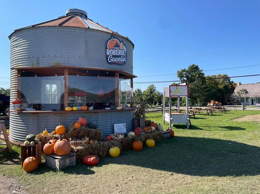 Ferme de Citrouilles Roberge et Gosselin | 1736 Chem. Royal, Saint-Pierre, QC G0A 4E0, Canada | Phone: (418) 952-2744