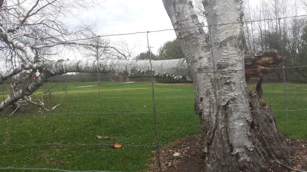 Cedarhurst Golf Club | 825 Thorah, Concession Rd 4, Beaverton, ON L0K 1A0, Canada | Phone: (705) 426-7521