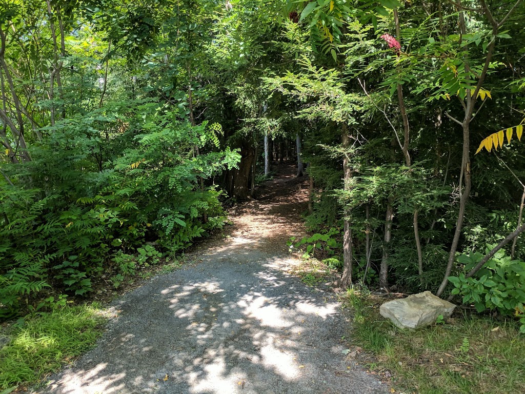 Entré Du Parc De La Prucheraie 312246, Rue de la Tourbière, SainteMarthesurleLac, QC J7P