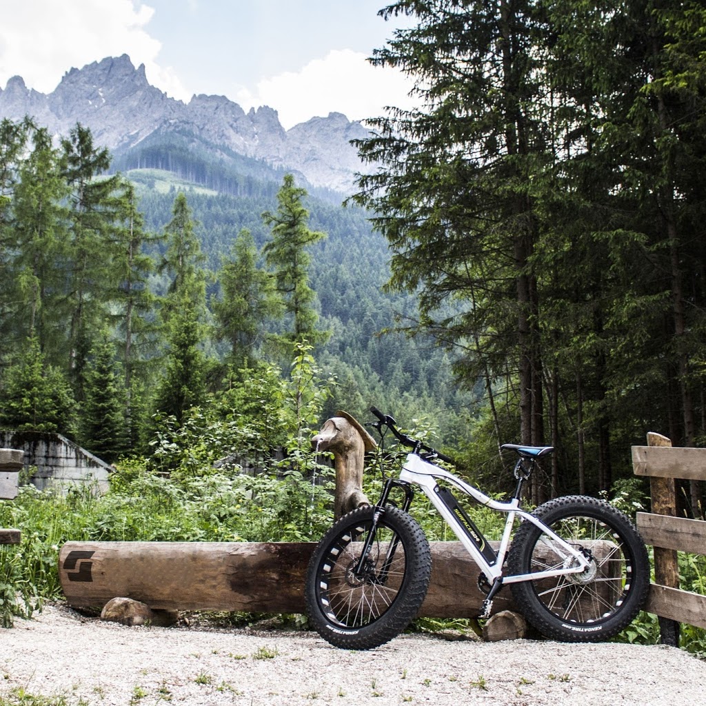 Citrus Cycles Ltd. | 1158 Rocky Creek Rd #1, Ladysmith, BC V9G 1K4, Canada | Phone: (888) 342-0102
