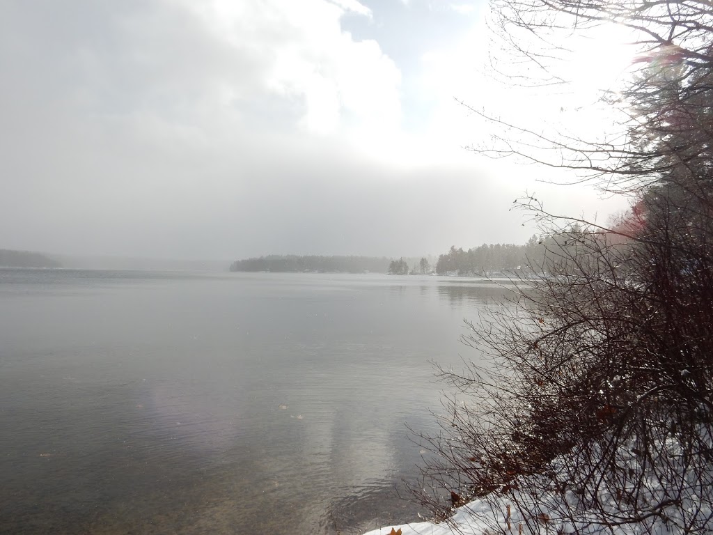 El Norte Lodge | 1018 N Shore Rd, Plevna, ON K0H 2M0, Canada | Phone: (647) 988-6901