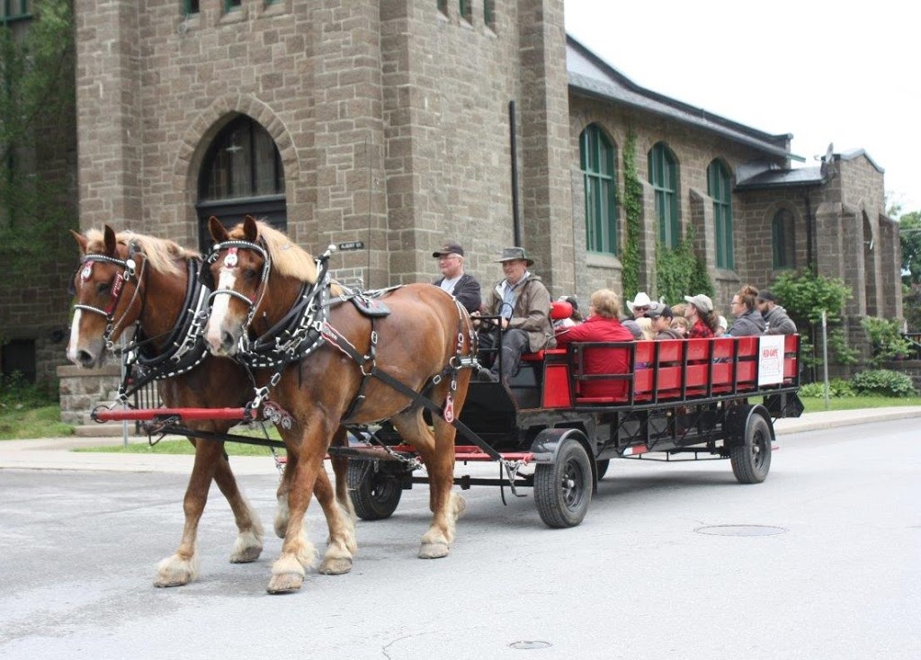 Red Gate Arena Farm | 561 Ramsay Concession 5A, Carleton Place, ON K7C 3P1, Canada | Phone: (613) 253-8641