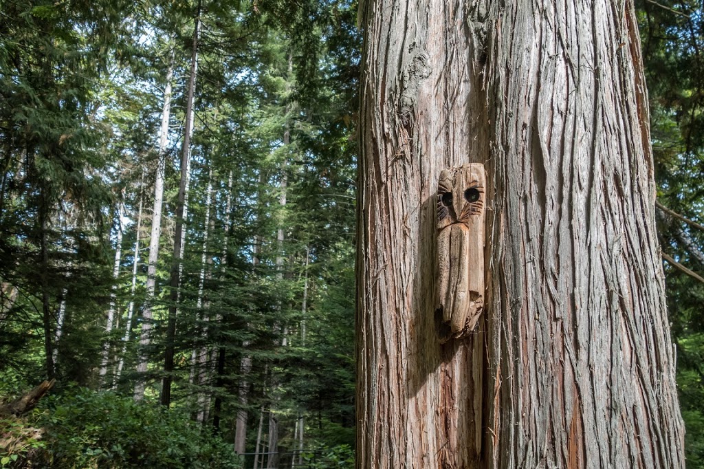 Cable bay trail | 2705 Nicola Rd #2645, Nanaimo, BC V9X 1N4, Canada | Phone: (250) 754-4251