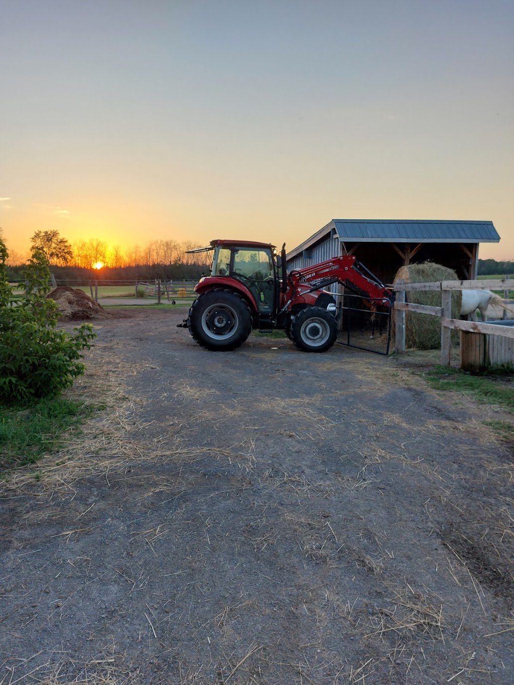Riding Hood Stables | 129 Blessington Rd, Corbyville, ON K0K 1V0, Canada | Phone: (613) 848-7474