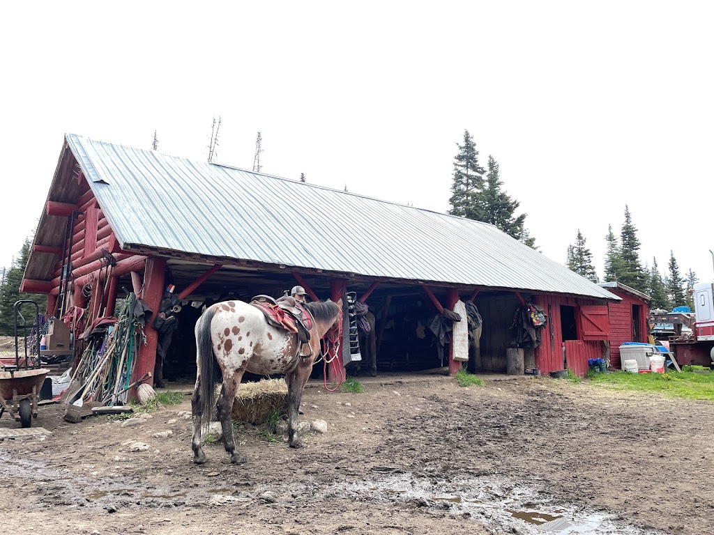 Timberline Tours Ltd | 101 St Piran Rd, Lake Louise, AB T0L 1E0, Canada | Phone: (403) 522-3743
