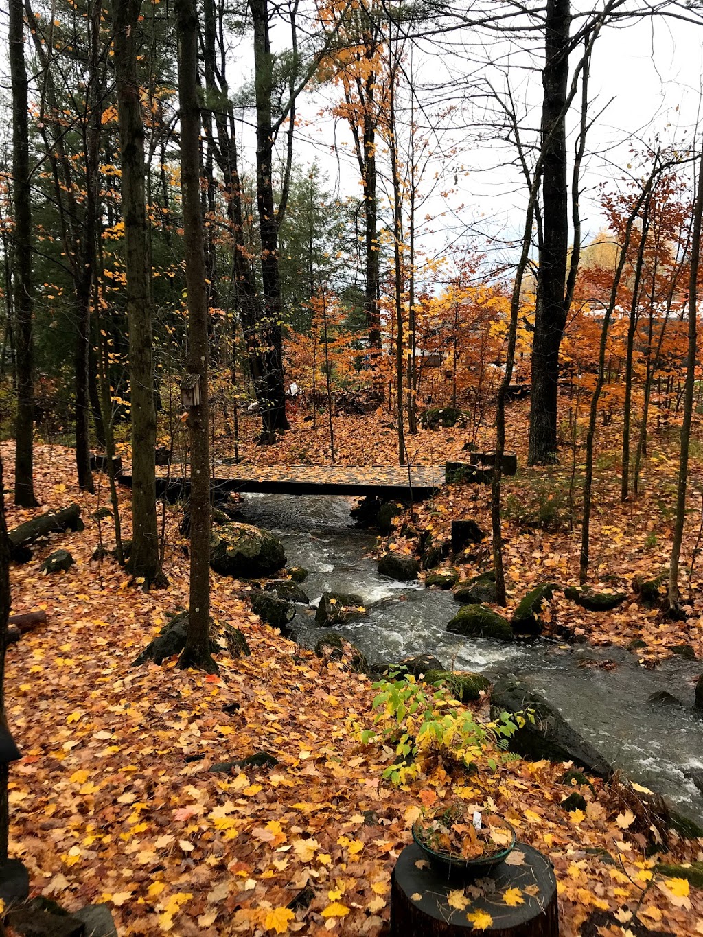 Camping Vélo Bromont | 531 Chemin Saxby S, Bromont, QC J2L 3C3, Canada | Phone: (450) 776-3864