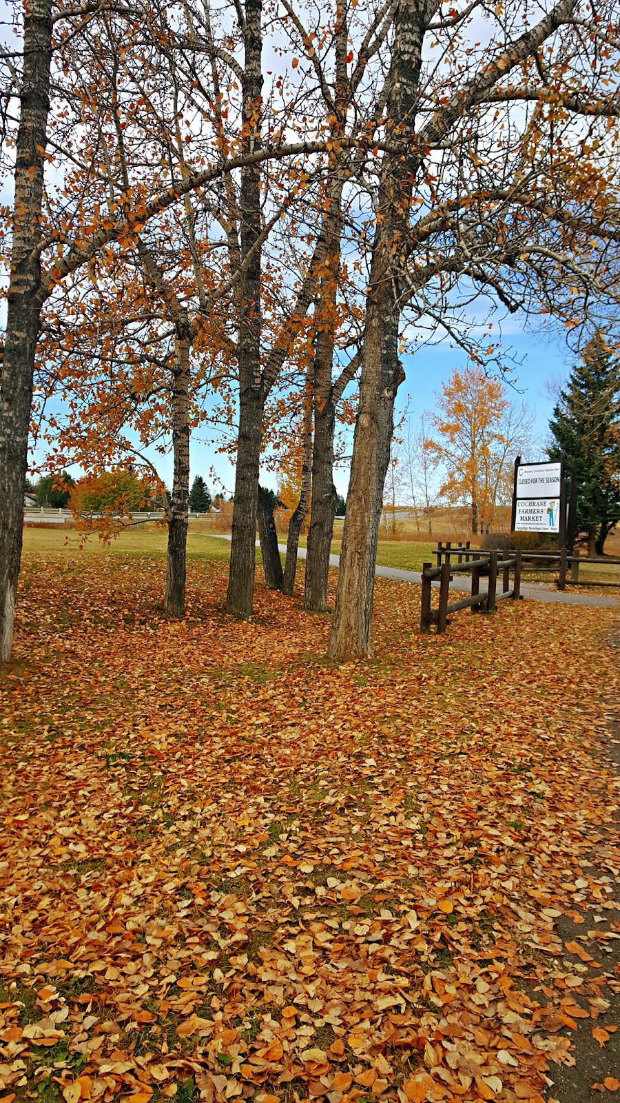 ClubHouse Activity Centre | Cochrane, AB T4C 1E2, Canada | Phone: (403) 851-2534