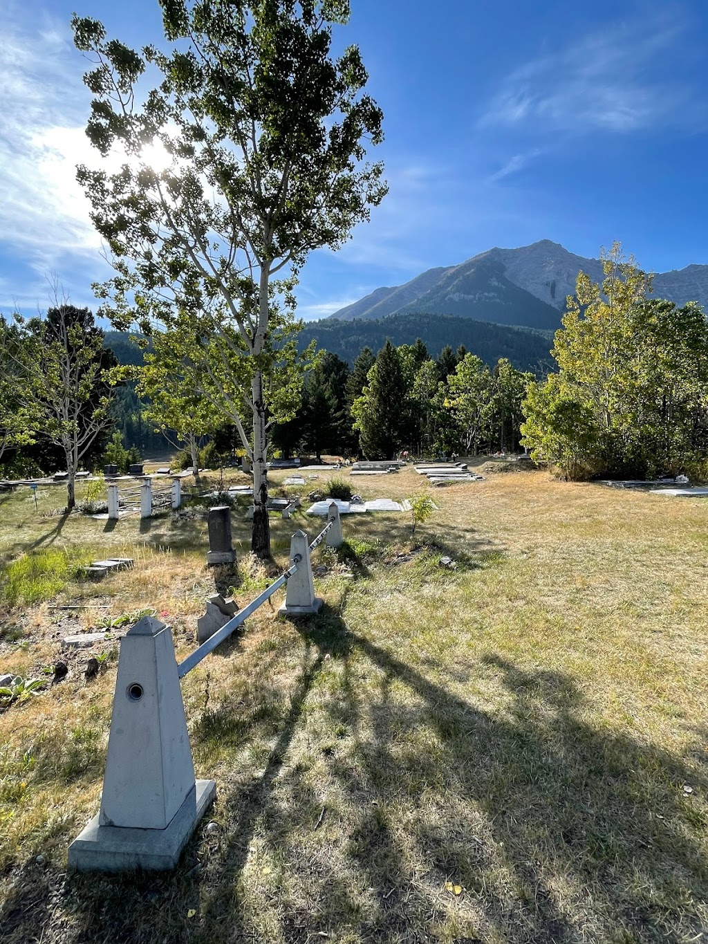Hillcrest Mine Disaster Cemetery | 200 4 Ave, Hillcrest Mines, AB T0K 1C0, Canada | Phone: (403) 562-7388