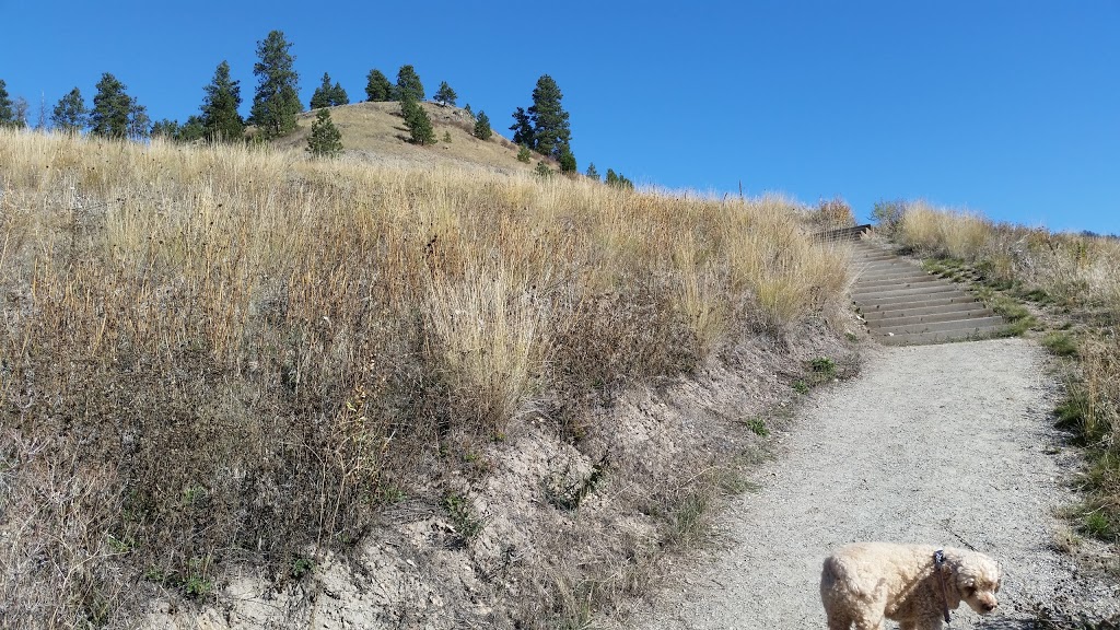 Black Mountain View Point | 1035 Stockley St, Kelowna, BC V1P 1S4, Canada