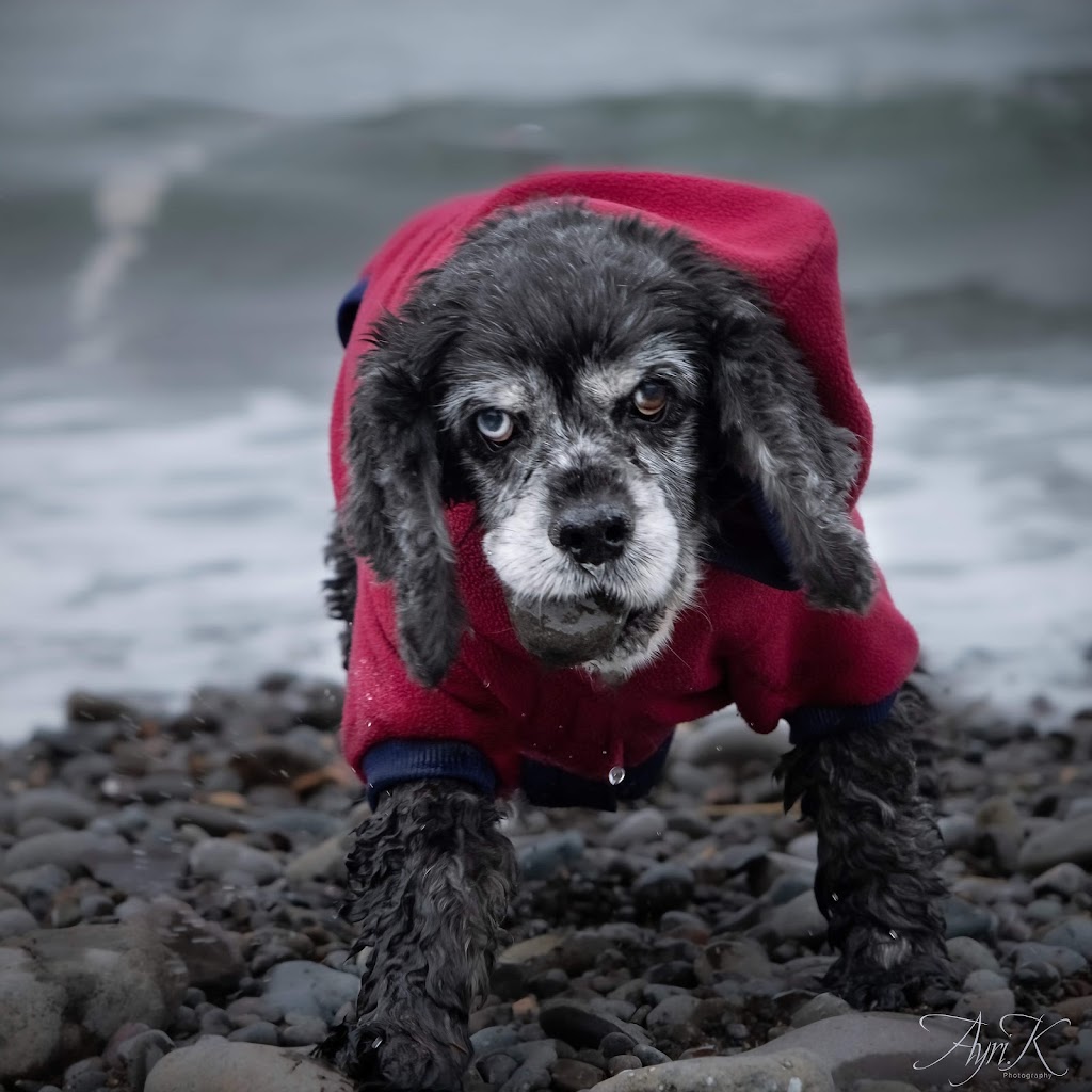 Ayri K Photography | 6539 McLean Rd, Lake Cowichan, BC V0R 2G0, Canada | Phone: (902) 996-0026