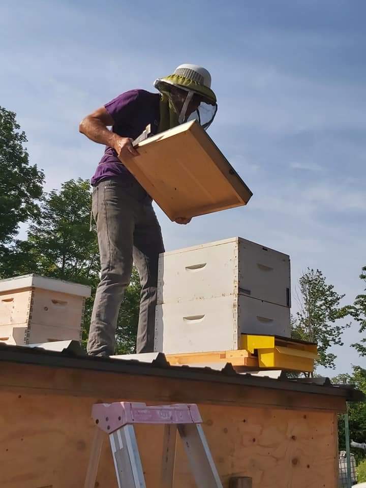 La Manne à Menoum | Accès via Chemin Flora-Marchand, 145 QC-155, Grandes-Piles, QC G0X 1H0, Canada | Phone: (819) 609-9931