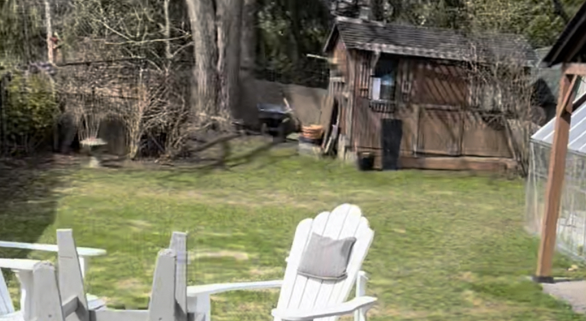 Reeds Property maintenance | 75 King St, Lindsay, ON K9V 1C4, Canada | Phone: (705) 324-5924