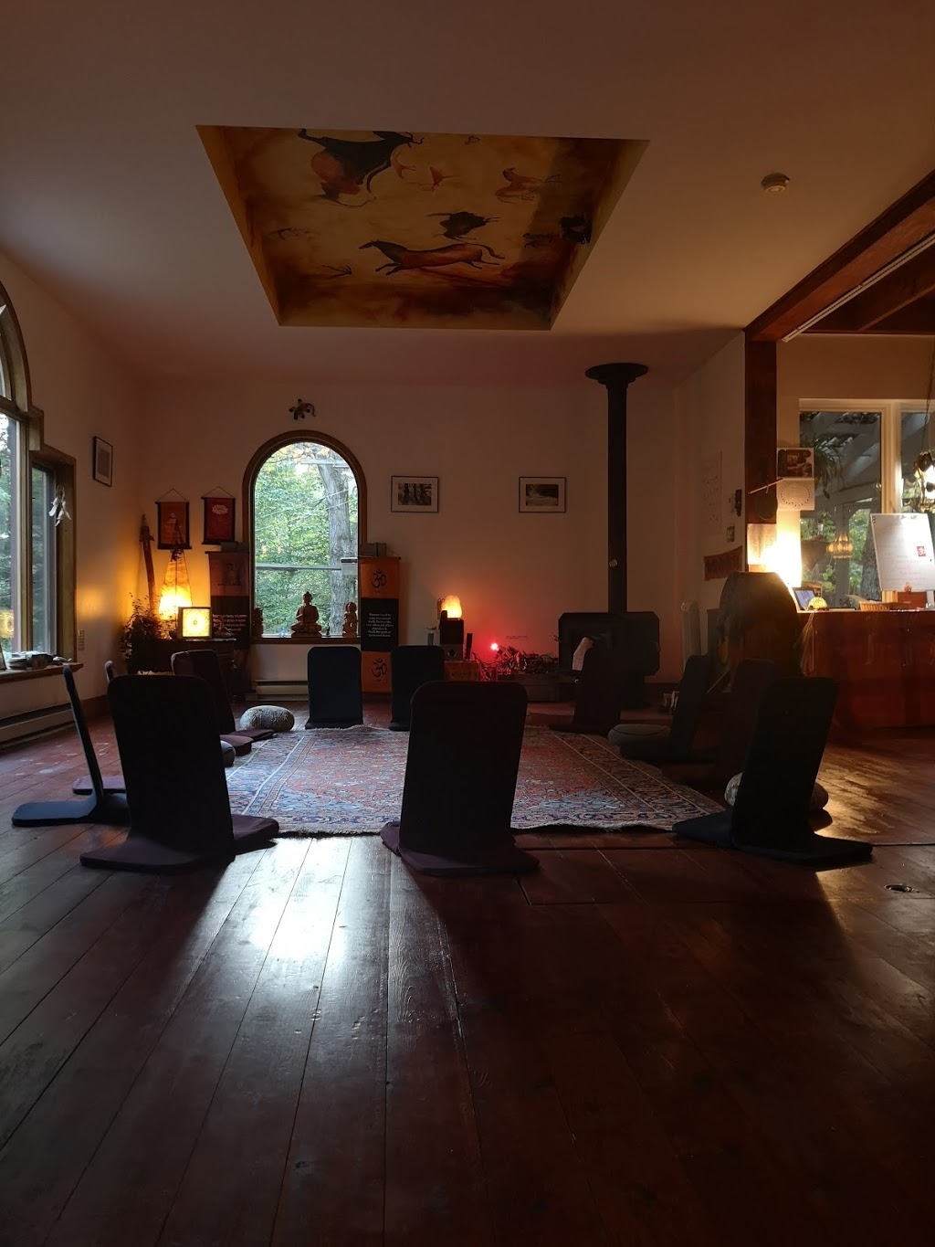 Yoga Salamandre | 151 Chemin Brandy, Foster, QC J0E 1R0, Canada | Phone: (514) 659-7213