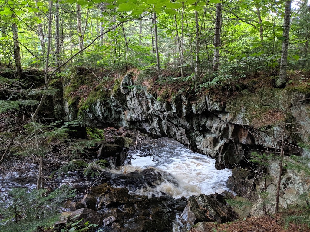 Halte du Pont de Pierre | Saint-Léonard-de-Portneuf, QC G0A 4A0, Canada