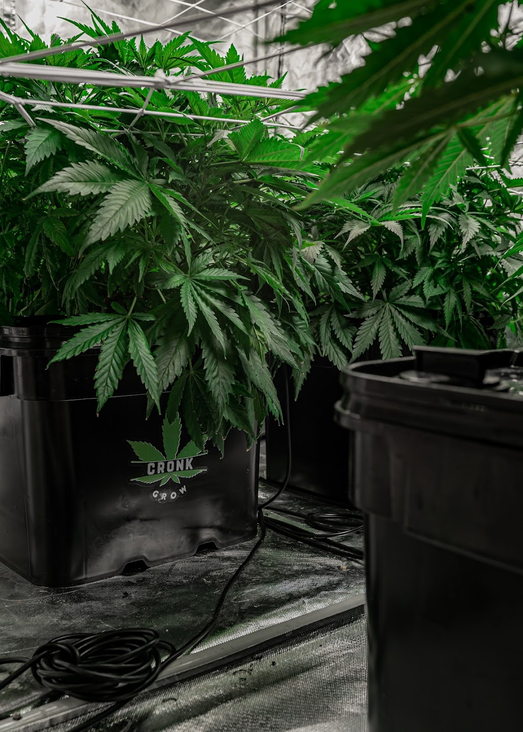 Cronk Grow Nutrients | 560 NB-100, Nauwigewauk, NB E5N 6Z8, Canada | Phone: (855) 276-6549