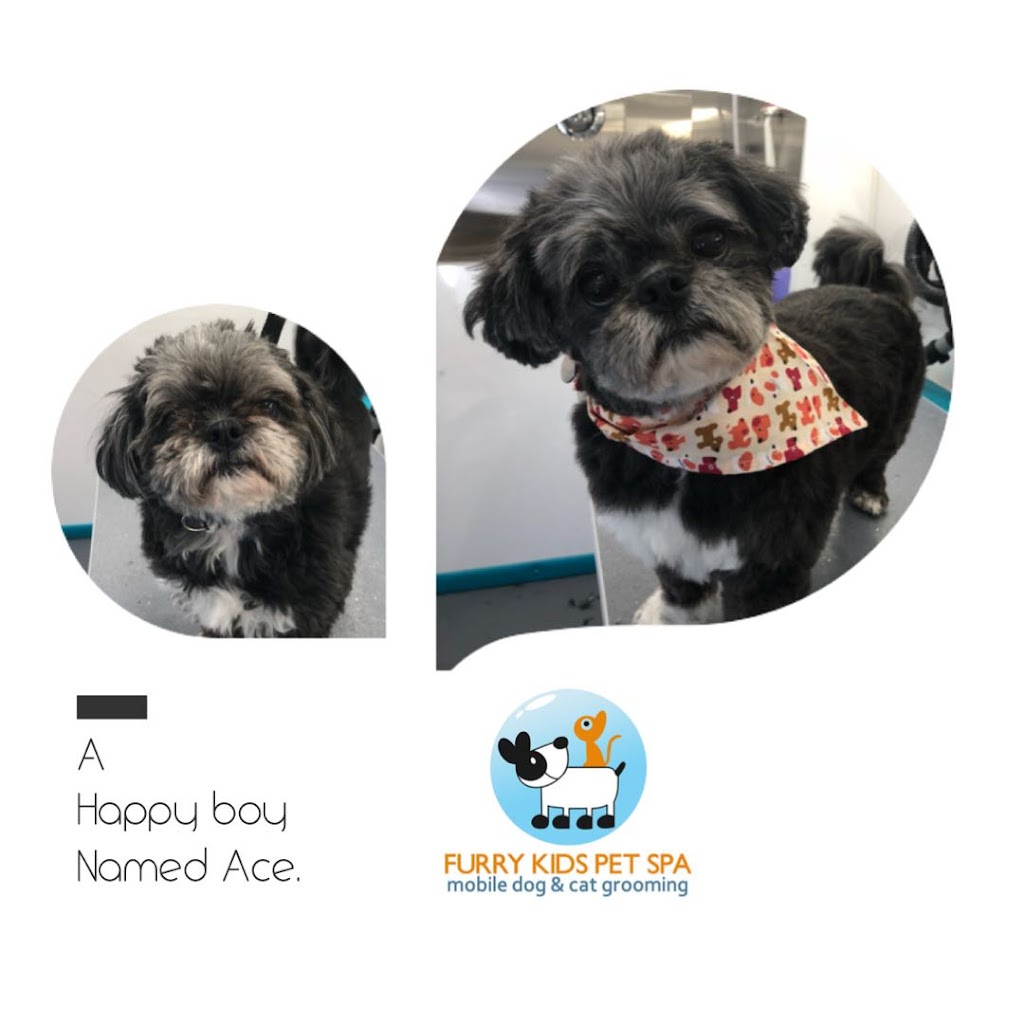 Furry Kids Mobile Pet SPA- dog & cat grooming | 13930 20 Ave, Surrey, BC V4A 2A1, Canada | Phone: (778) 838-3080