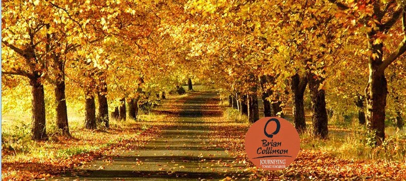 Brian Collinson, Registered Psychotherapist | 1375 Southdown Rd #304, Mississauga, ON L5J 2Z1, Canada | Phone: (905) 337-3946