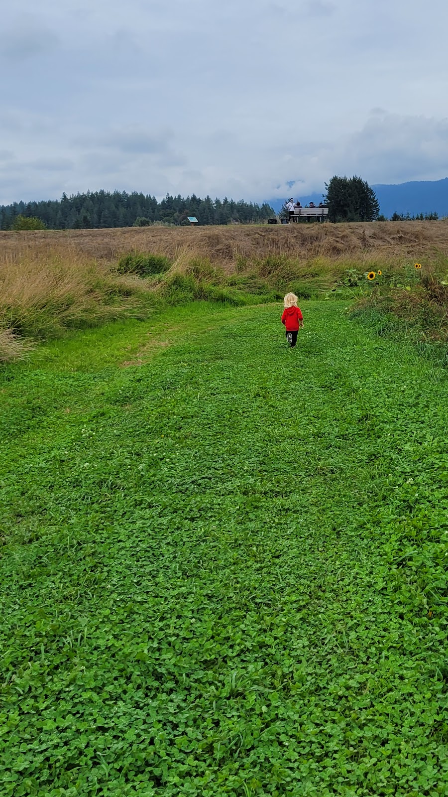 Hale’s End Farms | 14370 Hale Rd, Pitt Meadows, BC V3Y 1Z1, Canada | Phone: (604) 690-6055