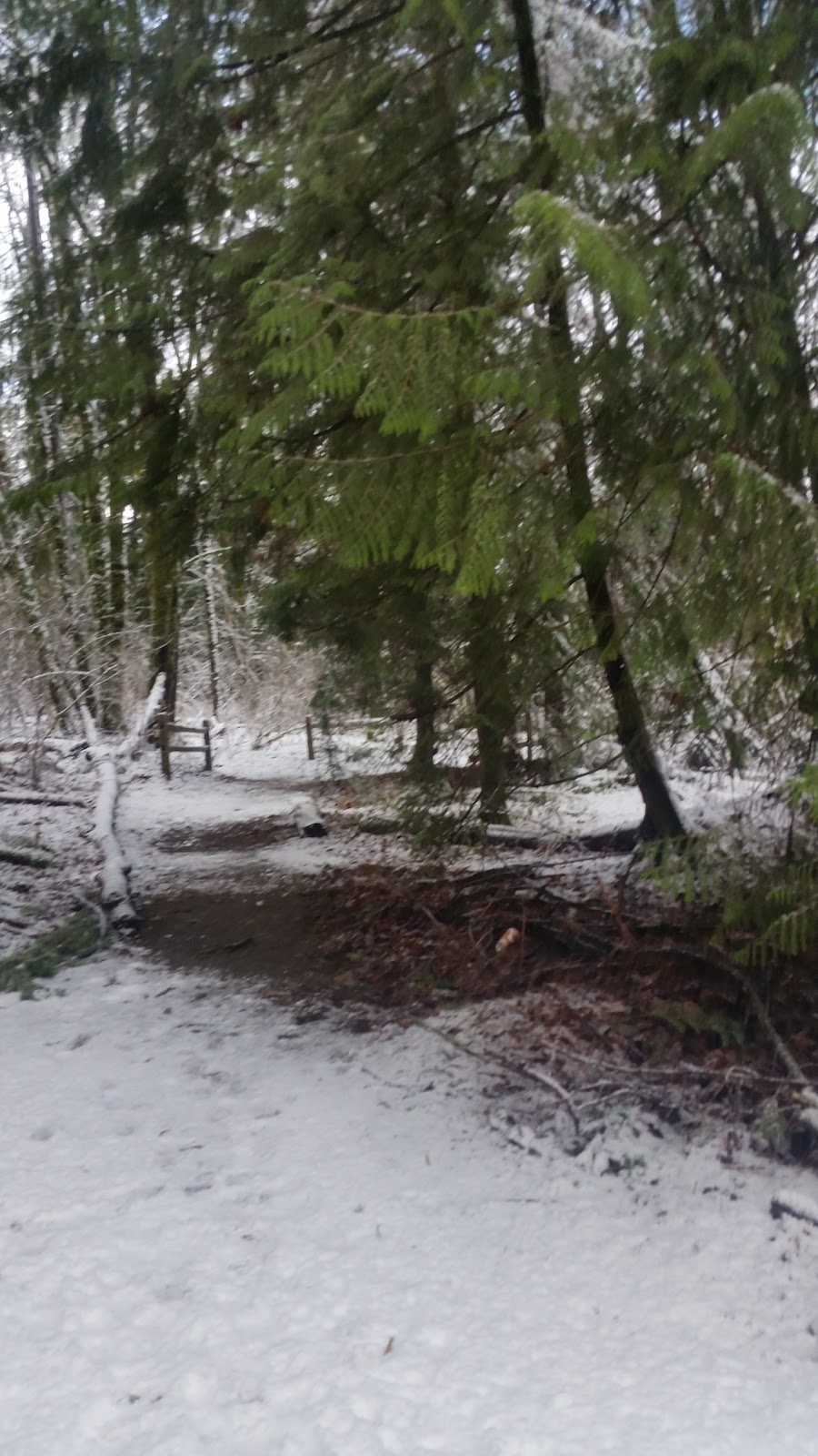 Hi-Knoll Park | 19569 Colebrook Rd, Surrey, BC V3Z 0L5, Canada | Phone: (604) 501-5050