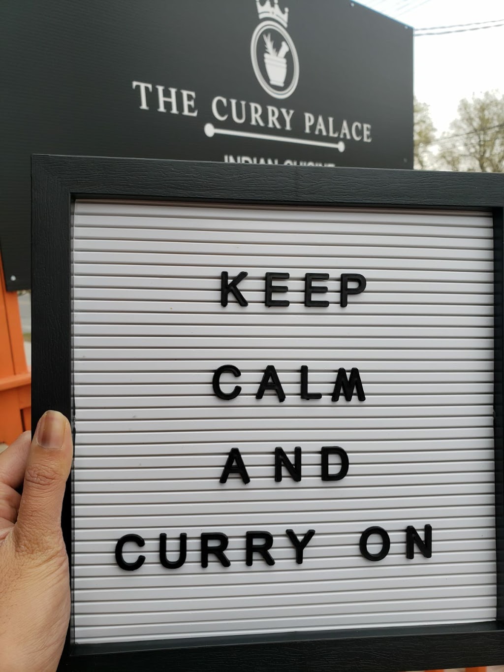 The Curry Palace | meal takeaway | 569 Gladstone Ave, Ottawa, ON K1R 5P2, Canada | 6134131699 OR +1 613-413-1699