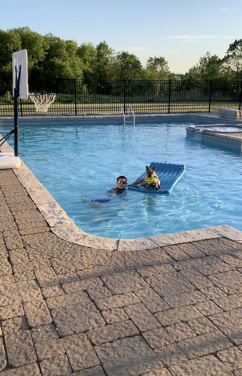 Gold Star Swim School | 51 Golfview Blvd, Bradford, ON L3Z 3Z1, Canada | Phone: (905) 868-5698