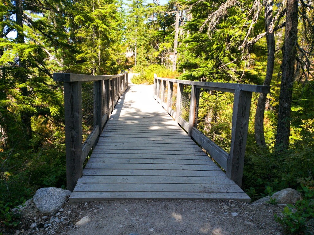 The Squamish and Chief Viewpoint | Squamish-Lillooet D, BC V0N 1J0, Canada | Phone: (604) 892-2551