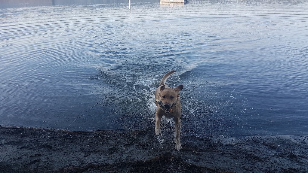 Brannen Lake Boat Launch | 5500 Dunster Rd, Nanaimo, BC V9T 4Z3, Canada | Phone: (250) 754-4251