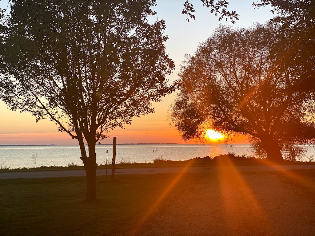 Bongo House Pelee | 1555 McCormick Rd, Pelee Island, ON N0R 1M0, Canada | Phone: (519) 521-3436