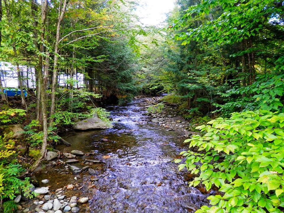 Millbrook Campground | 1152 VT-100, Westfield, VT 05874, USA | Phone: (802) 744-8085