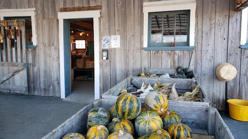 Farm La Fille du Roy | 1920 Rang St.-Simon, Sainte-Madeleine, QC J0H 1S0, Canada | Phone: (450) 795-3579
