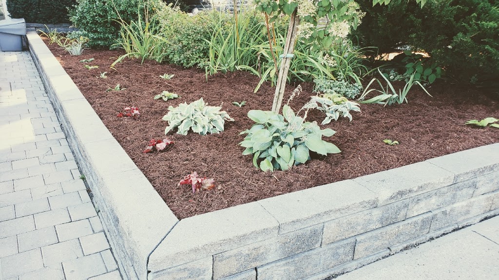 BvB Landscape Management | 685 Surrey Ln Unit 1102, Burlington, ON L7T 3Z2, Canada | Phone: (416) 688-6322