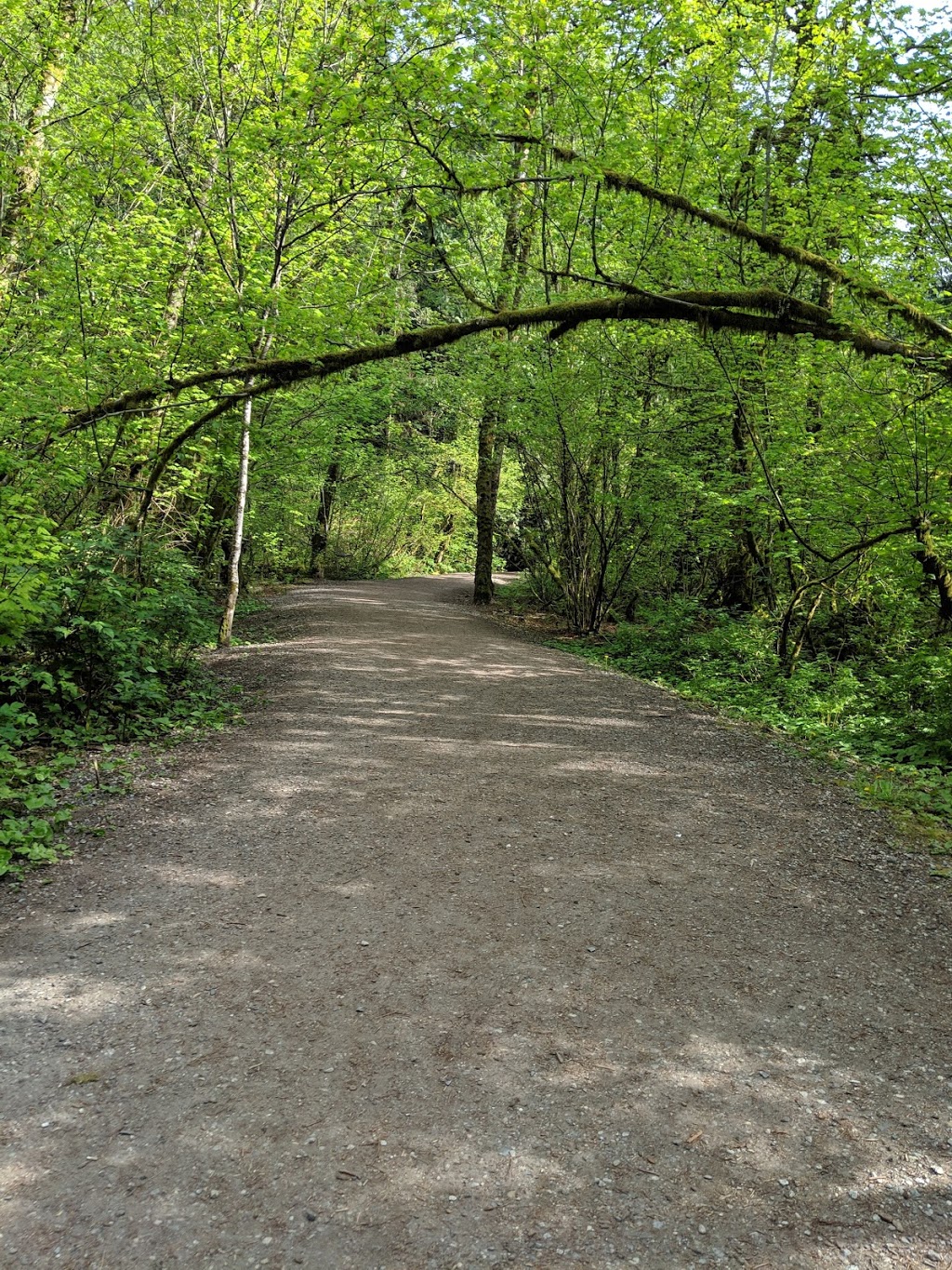Mundy Park Bike Skills Trail - Beginner Loop | Mariner Way, Coquitlam, BC V3K 1N4, Canada | Phone: (604) 927-3000