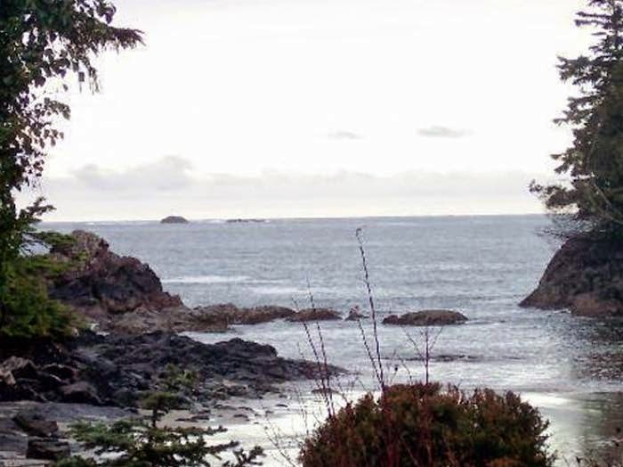 Amy Hadikin Realtor | 679 Memorial Ave, Qualicum Beach, BC V9K 1T1, Canada | Phone: (250) 951-6617